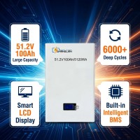 Батерия LIFEPO4 48V (51.2) 100Ah - стенен монтаж