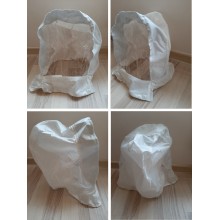 Transparent face mask with cover